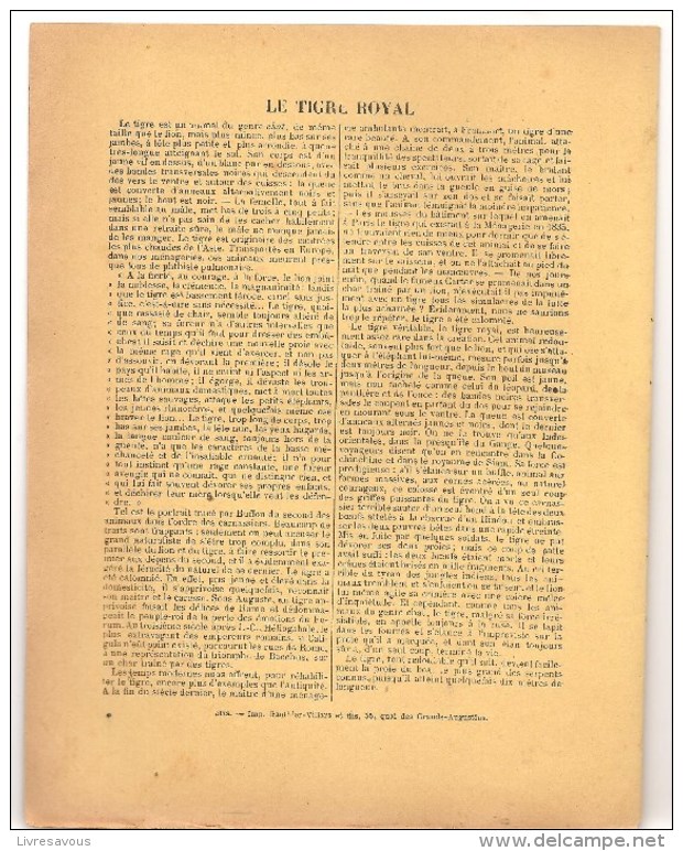 Couverture De Cahier D´écolier Des Années 1920 Série Histoire Naturelle N°243 Le Tigre Royal Ed; J. Garrier Paris - Protège-cahiers