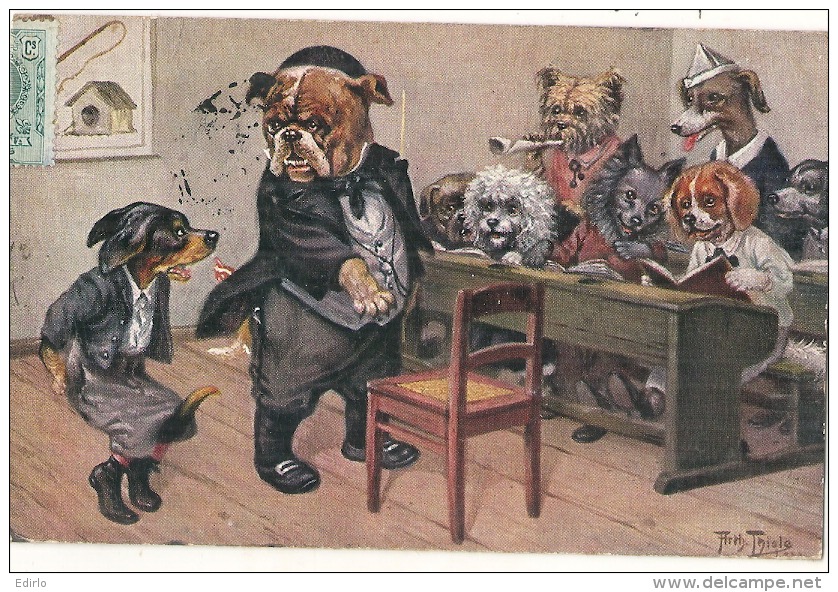 Illustrateur THIELE Chiens Humanisés  à L'école - Basset Teckel, Loulou, Caniche .. - Thiele, Arthur