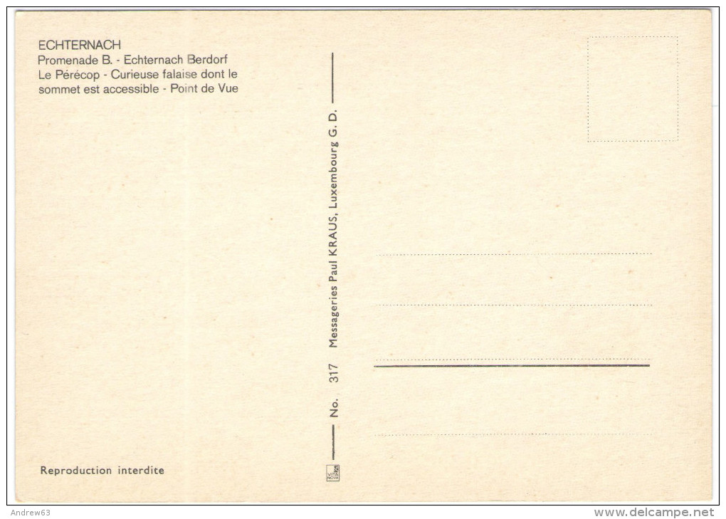LUSSEMBURGO - LUXEMBOURG - Echternach - Promenade B - Berdorf Le Pérécop - Curieuse Falaise - Point De Vue - Not Used - Echternach