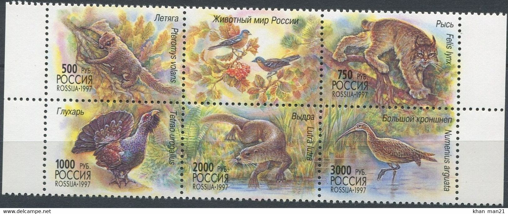 Russia, 1997, Mi. 597-601, Y&T 6285-89, Sc. 6397, SG 6687-91, Birds, Animals, Lynx, MNH - Sonstige & Ohne Zuordnung