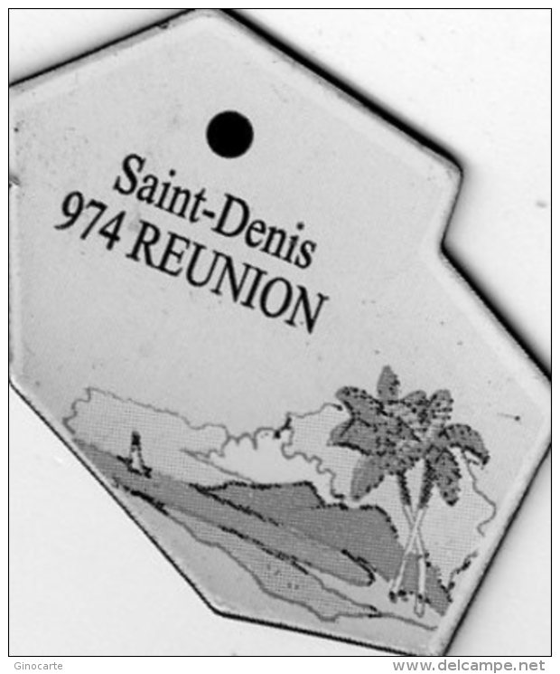 Magnets Magnet Le Gaulois Departement France 974 Reunion - Tourisme