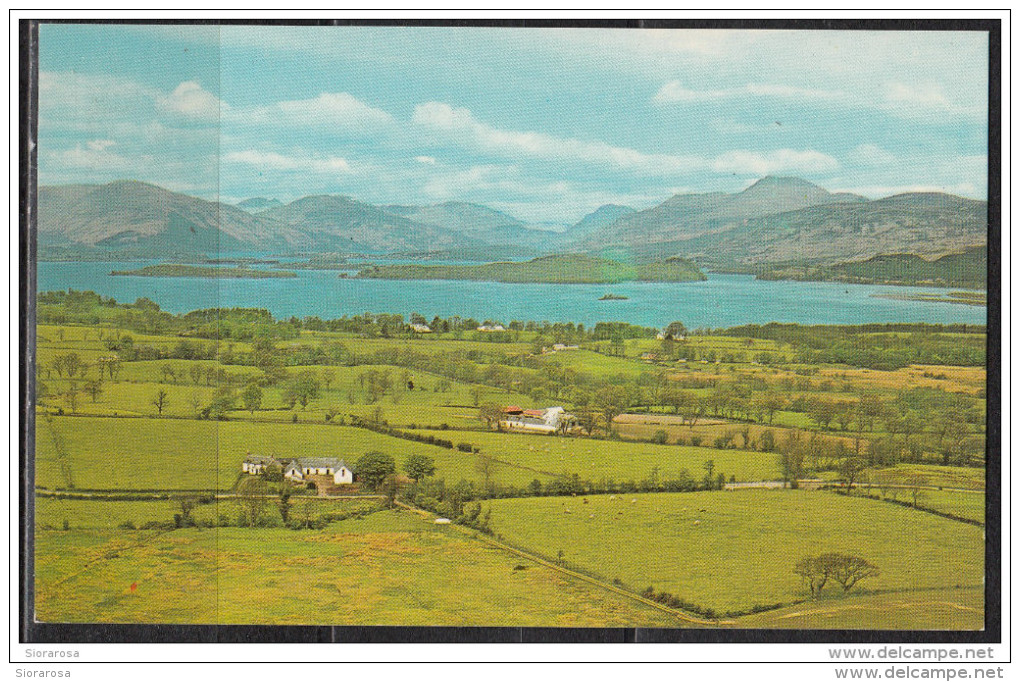 Loch Lomon And Ben Lomond  From DUNCRYNE - Panorama - General View - Argyllshire