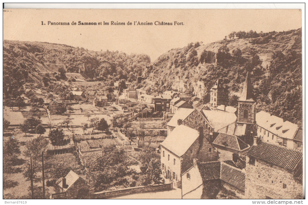 25  Panorama De  Samson Et Les Ruines De L'ancien Chateau Fort - Autres & Non Classés