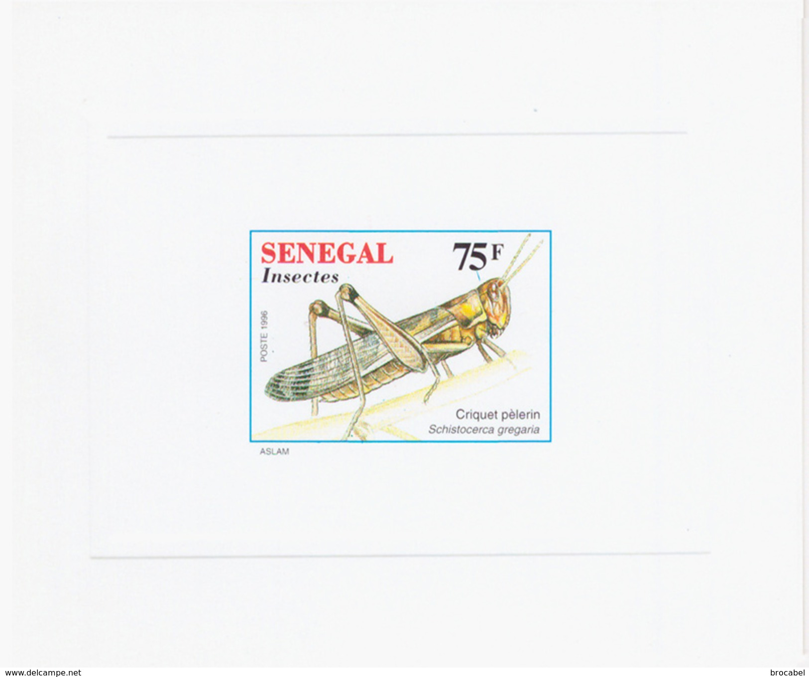 Senegal 1207/11  5 Feuillets De Luxe - Sénégal (1960-...)