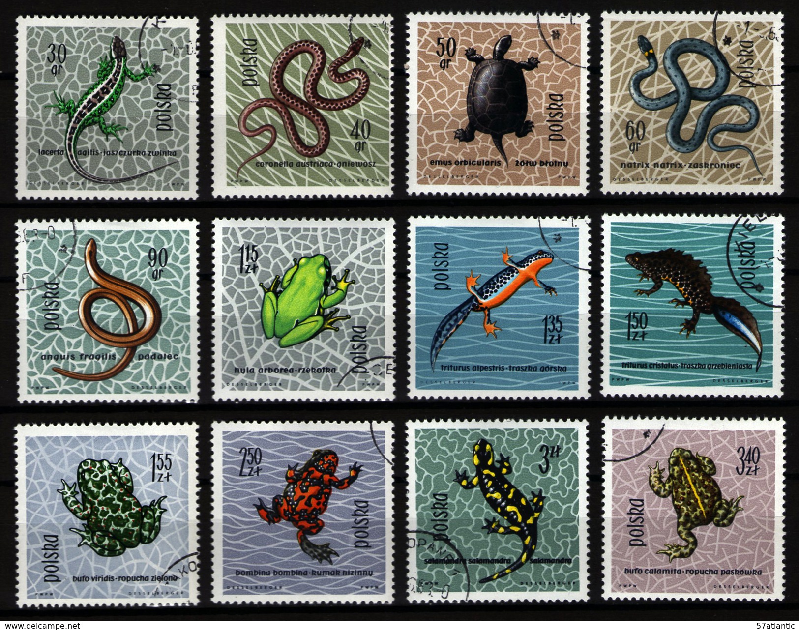 POLOGNE - REPTILES - YT 1259 à 1270 - SERIE COMPLETE 12 TIMBRES OBLITERES - Sonstige & Ohne Zuordnung