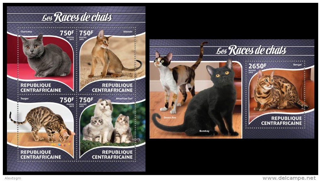 CENTRAL AFRICA 2015 - Cat Breeds, M/S + S/S Official Issue - Zentralafrik. Republik