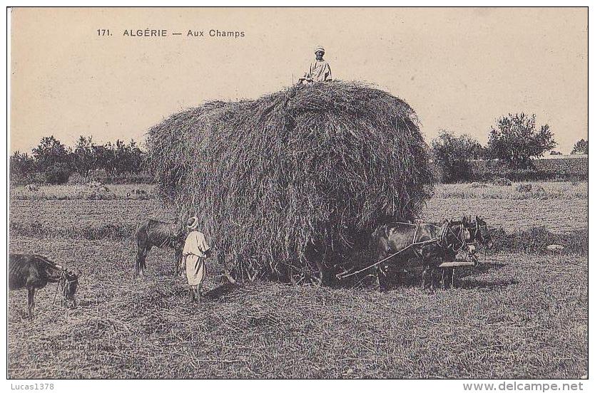 171- ALGERIE - Aux Champs - Ed. Idéale P S - Berufe