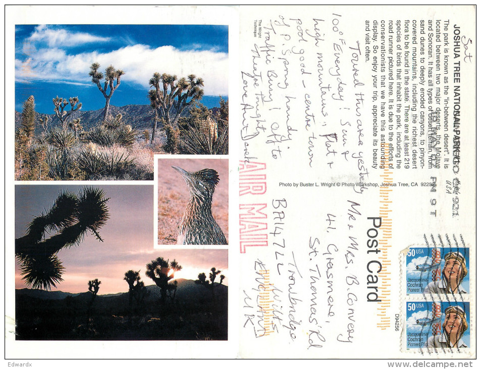 Joshua Tree National Park, California, United States US Postcard Posted 2007 Stamp - Autres & Non Classés