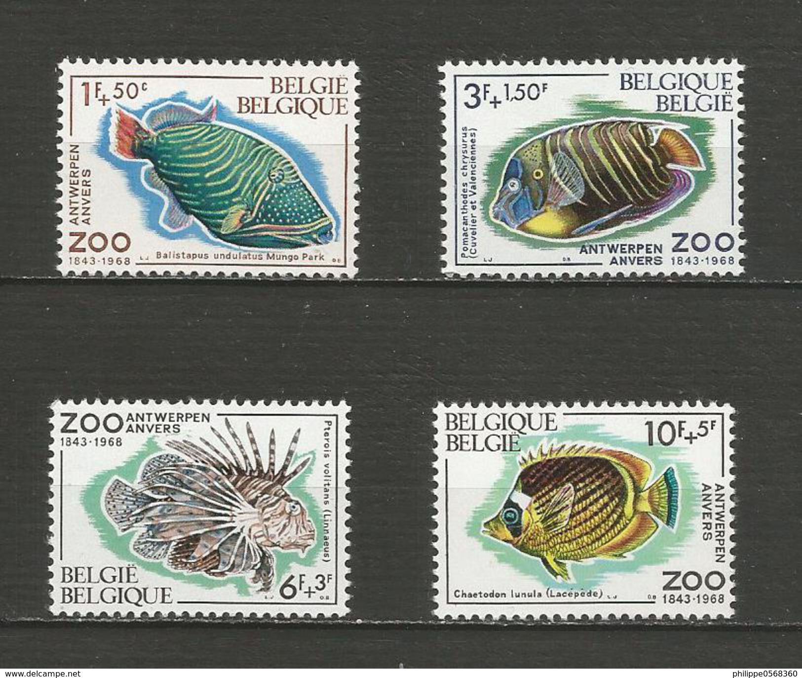 Zoo D'Anvers Poissons Année 1968 - Ungebraucht