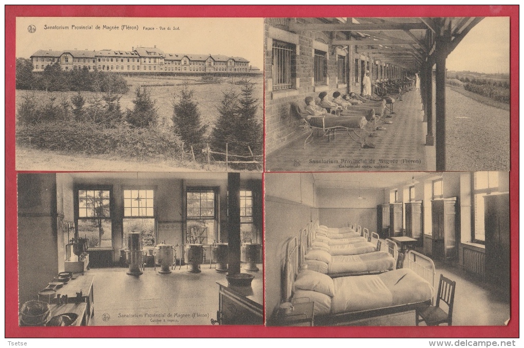 Fléron - Sanatorium Provincial De Magnée - 8 Cartes Postales - Fléron