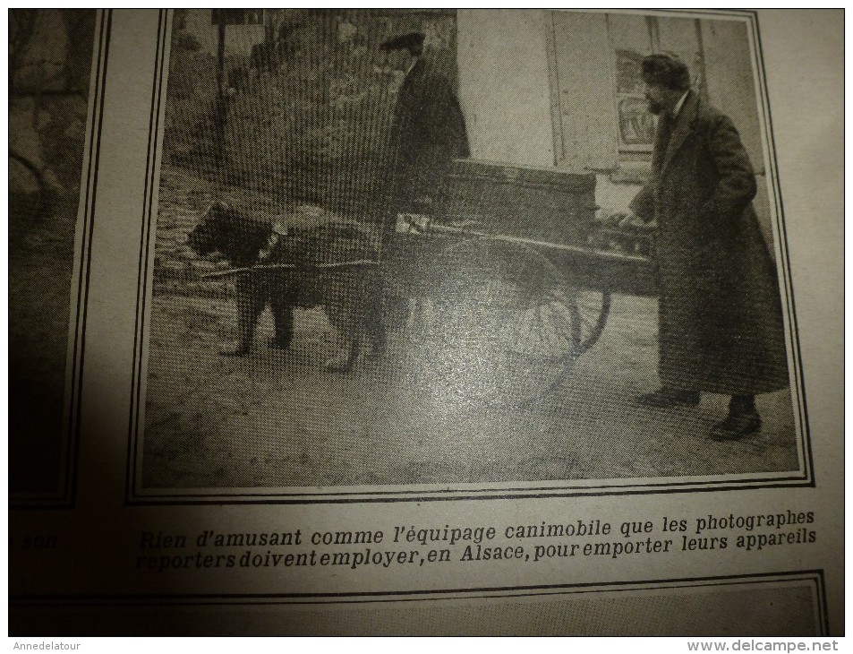 1914 LPDF:BALLON;Zislin & Hansi;Chien attelé du photographe;CANONS LOURDS++;Moulin VIEUX-BERQUIN (Flandre);Courdemanges