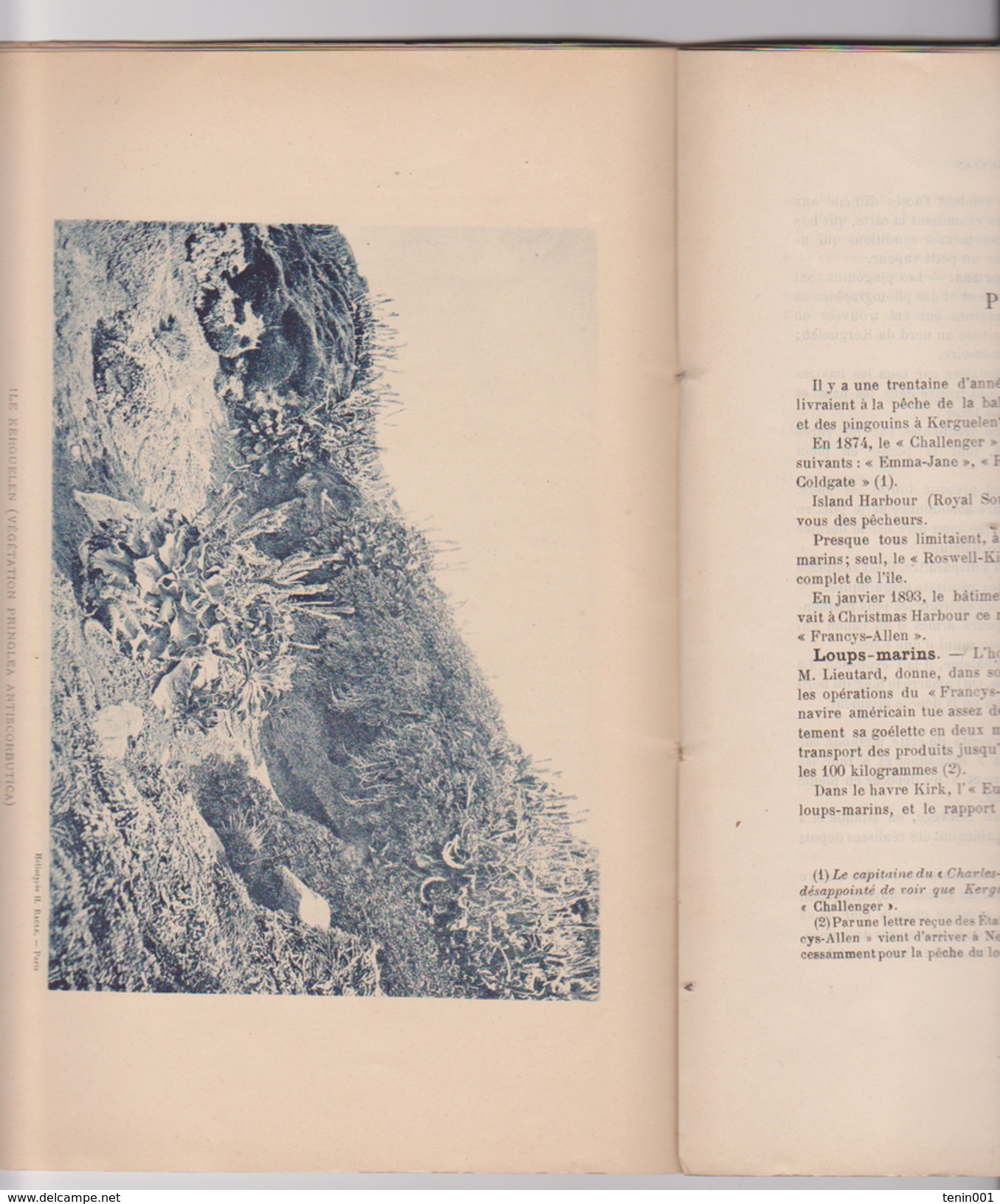 TAAF - Kerguelen - Bossiere - Notice - Climat - Peche - Elevbage - Ressources - ...-1955 Prefilatelia