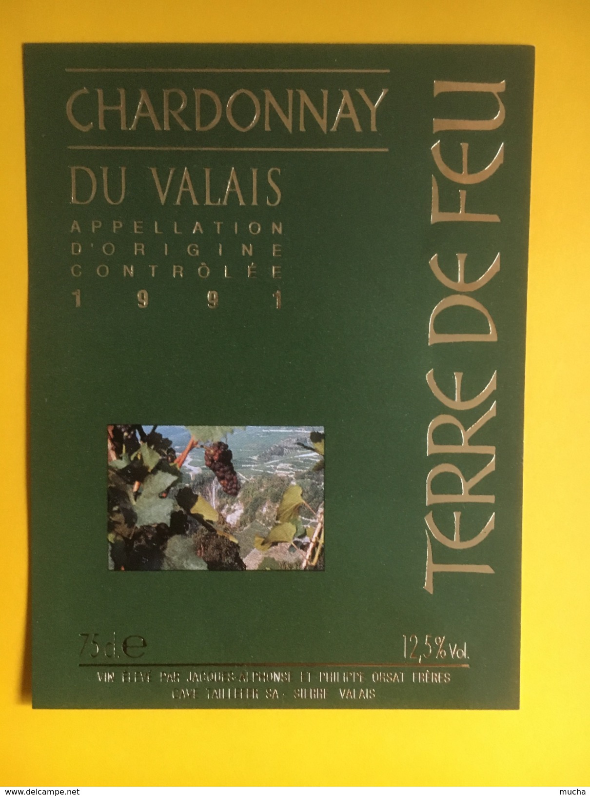 2166 -Suisse Valais Chardonnay Terre De Feu 1991 - Autres & Non Classés