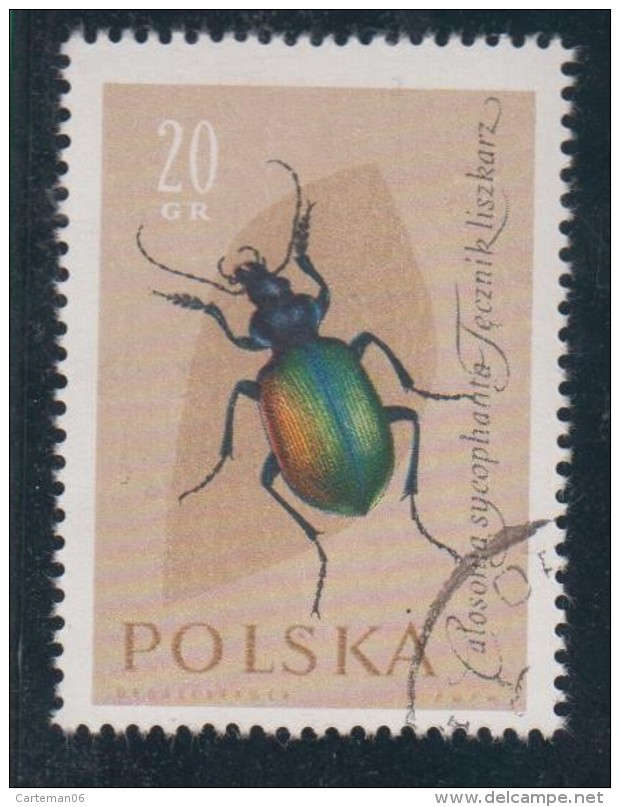 Pologne - N°1140 - Publicité Au Verso Arginine Veyron - Insecte - Errors & Oddities