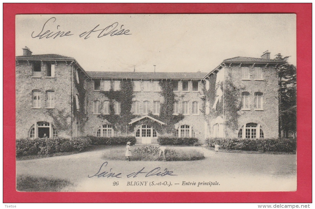 Bligny Par Briis Sour-Forges - Sanatorium - Entrée Principale  ( Voir Verso ) - Briis-sous-Forges