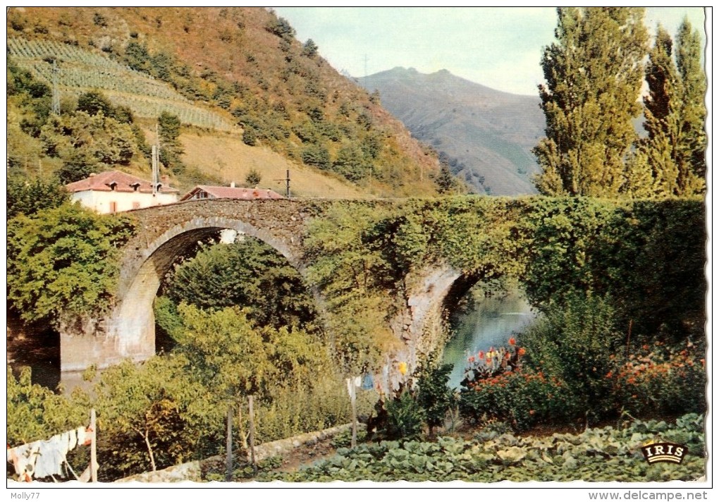 CPA 64 BIDARRAY - Le Pont Romain - Bidarray