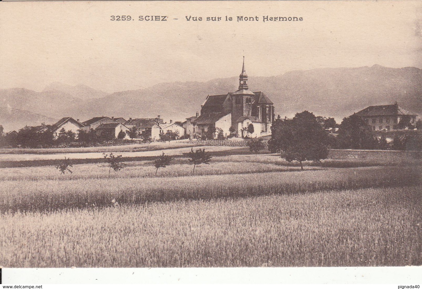 G , Cp , 74 , SCIEZ , Vue Sur Le Mont Hermone - Sciez