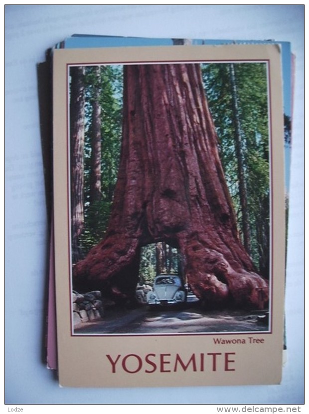 America USA CA Yosimite Wawona Tree And VW Car - Yosemite