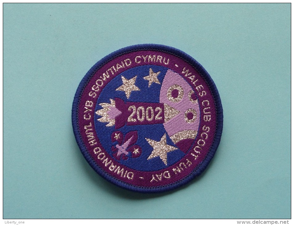 Boy Scouts Badge : WALES CUB SCOUT FUN DAY 2002 ( Zie Foto Voor Detail ) ! - Scoutisme