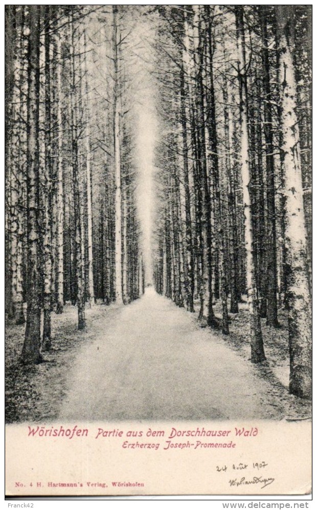 Allemagne. Wörishofen. Partie Aus Dem Dorschhauser Wald - Bad Woerishofen