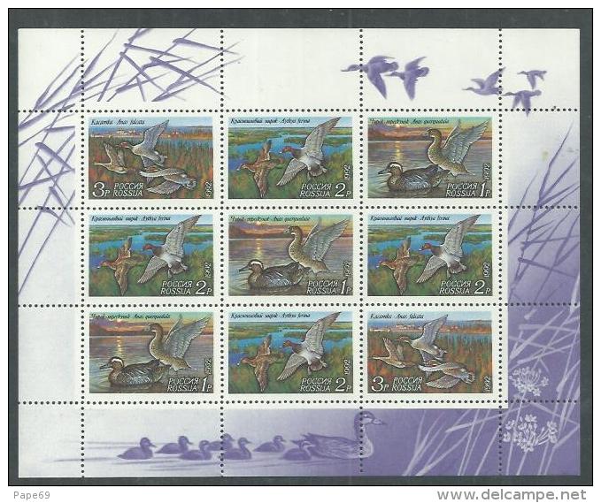 Russie N° 5958 / 60 F XX : Faune : Canards,  La  Feuille Sans Charnière, TB - Hojas Completas