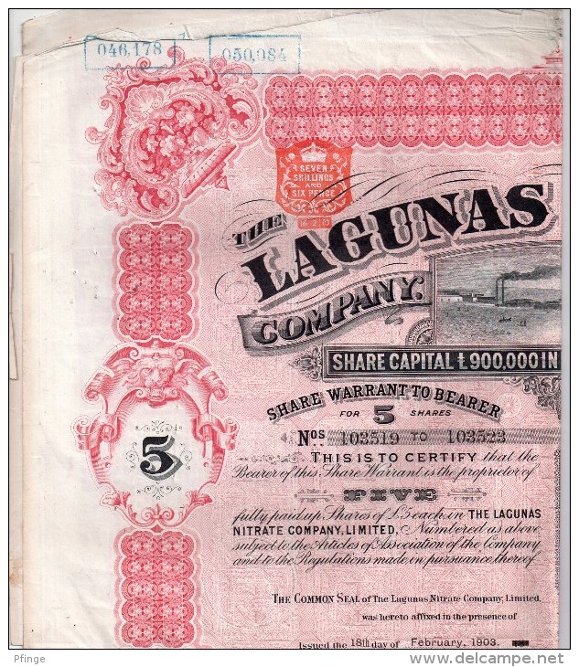 The Lagunas Nitrate Company - Certificat D´actions Au Porteur Pour 5 Actions - Mines