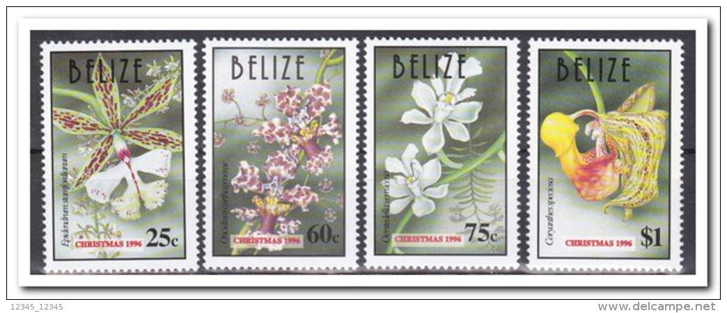 Belize 1996, Postfris MNH, Flowers - Belize (1973-...)