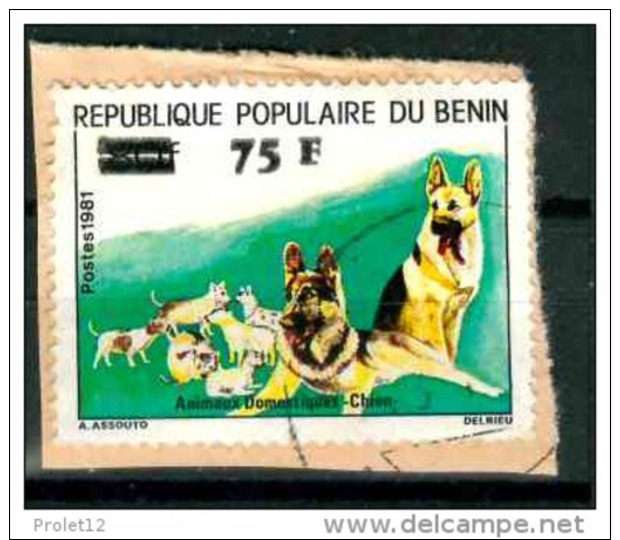 BENIN MICHEL 311 DOGS - Benin – Dahomey (1960-...)