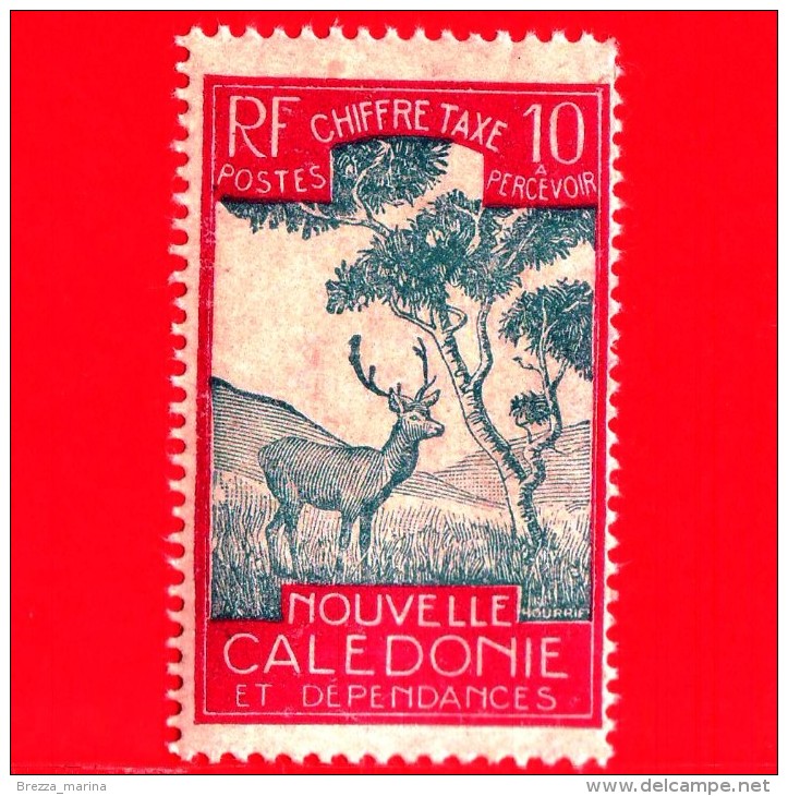 Nuovo - MNH - NUOVA CALEDONIA - 1928 - Sambar Deer (Cervus Unicolor) - Segnatasse - 10 - Timbres-taxe