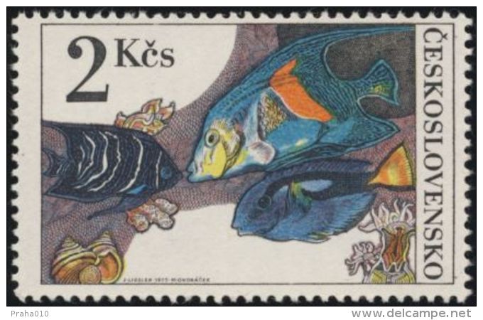 Czechoslovakia / Stamps (1975) 2146: Aquarium Fish (Pomacentridae, Zebrasoma, Pomacanthus); Painter: Josef Liesler - Sonstige & Ohne Zuordnung