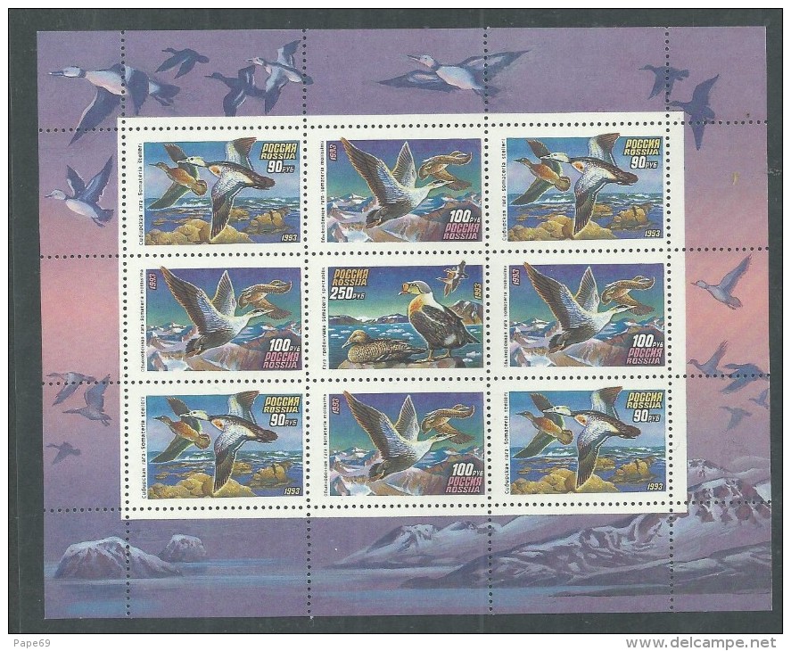 Russie N°  6005 / 07 F XX :  Faune : Oiseaux : Canards, La Feuille Sans Charnière, TB - Feuilles Complètes