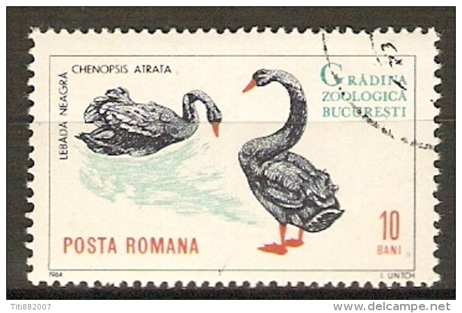 ROUMANIE   -   CYGNES NOIRS   -    Obliitéré - Schwäne