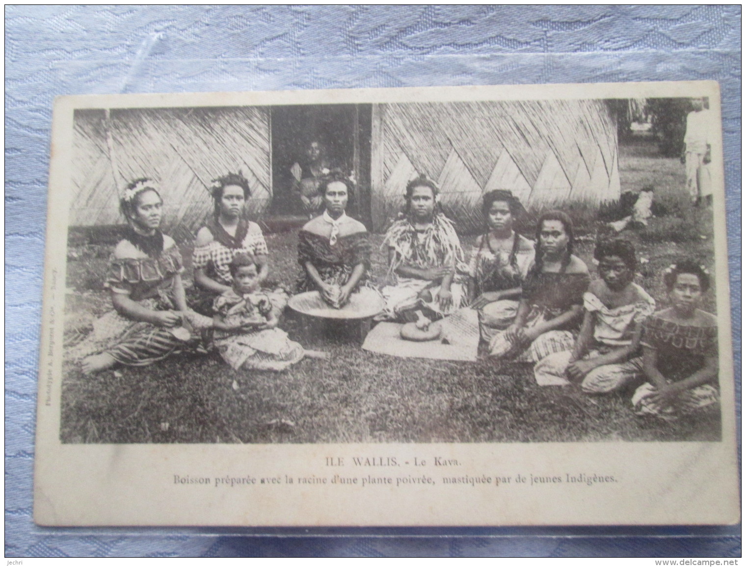 ILES WALLIS ET FUTUNA . LE KAVA. BOISSON PREPARE AVEC LES RACINES D UNE PLANTE POIVREE MASTIQUEE - Wallis En Futuna