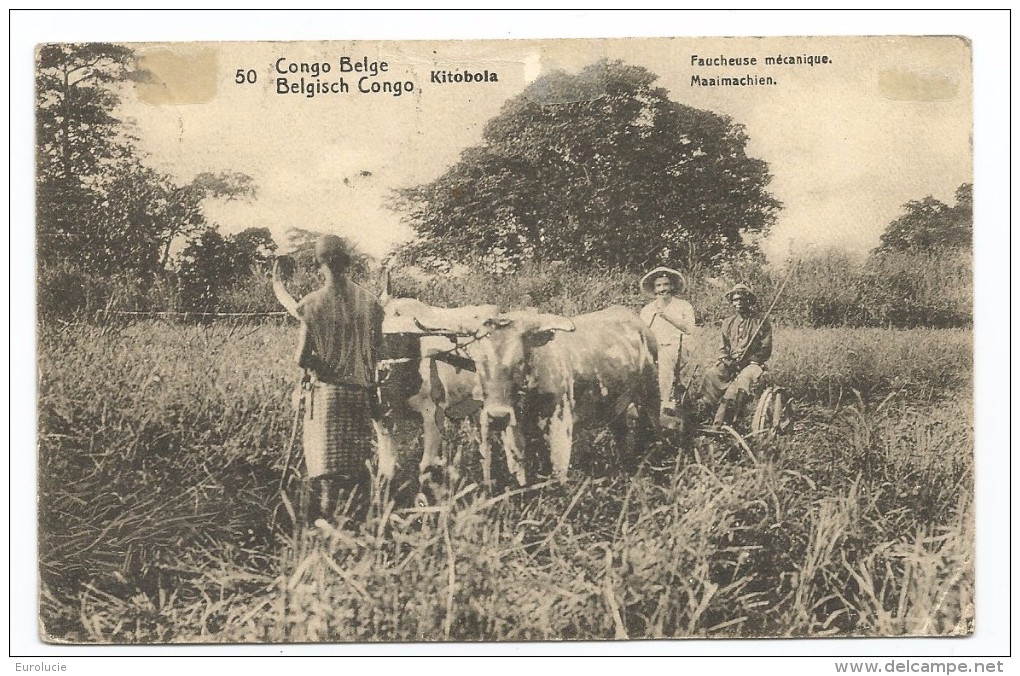 CONGO POSTAL STATIONARY CARD - 1914 DIMA (text Mentioning This New Series Of PSC) - Ganzsachen