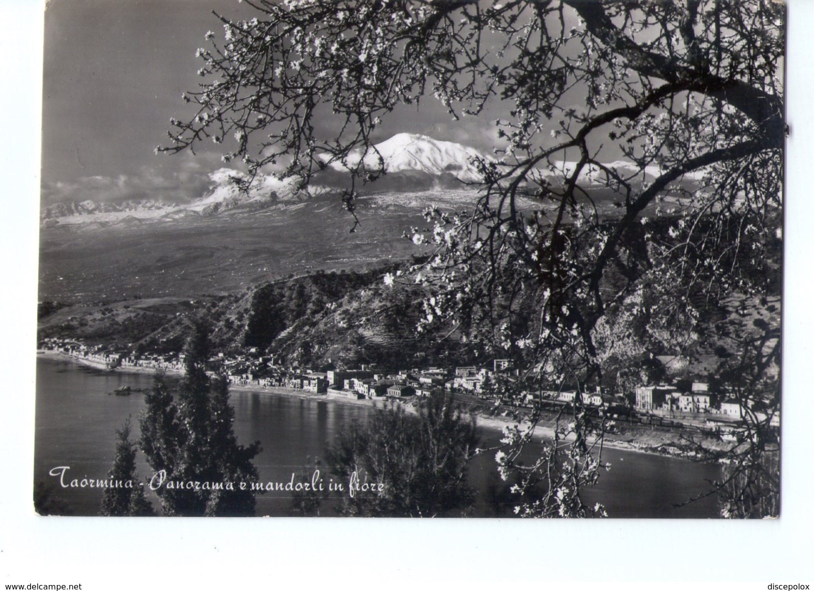 N3307 Cartolina Della Sicilia - Taormina ( Messina ) Panorami Con Mandorli In Fiore E Etna ( Vulcano ) Innevato _ VIAG. - Altri & Non Classificati