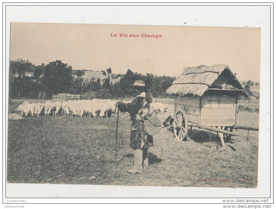 LA VIE AUX CHAMPS BERGER TROUPEAU DE MOUTONS CPA BON ETAT - Crías