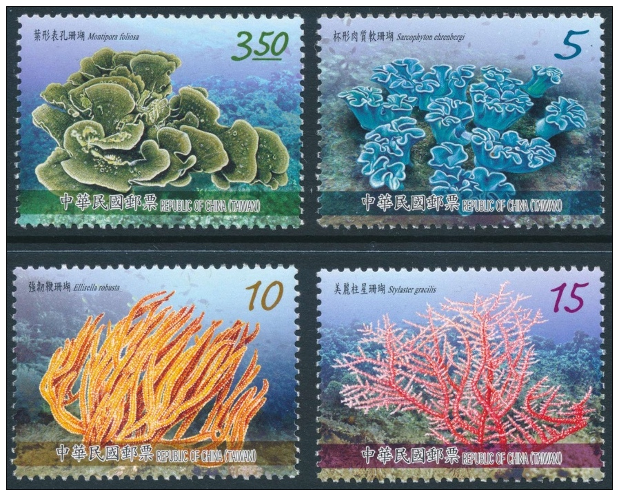 Corals Of Taiwan 2015 - Taiwan #MV221#  ** - Meereswelt