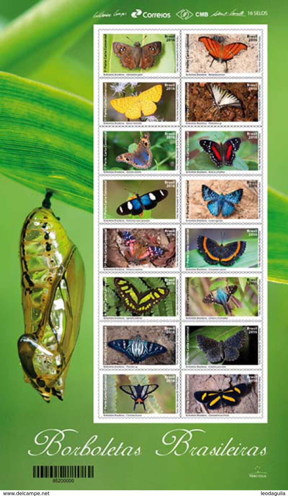 BRAZIL 2016  -  BRAZILIAN BUTTERFLIES  -  SET Of 2 MINI SHEETS  (16v + 6v) - Papillons