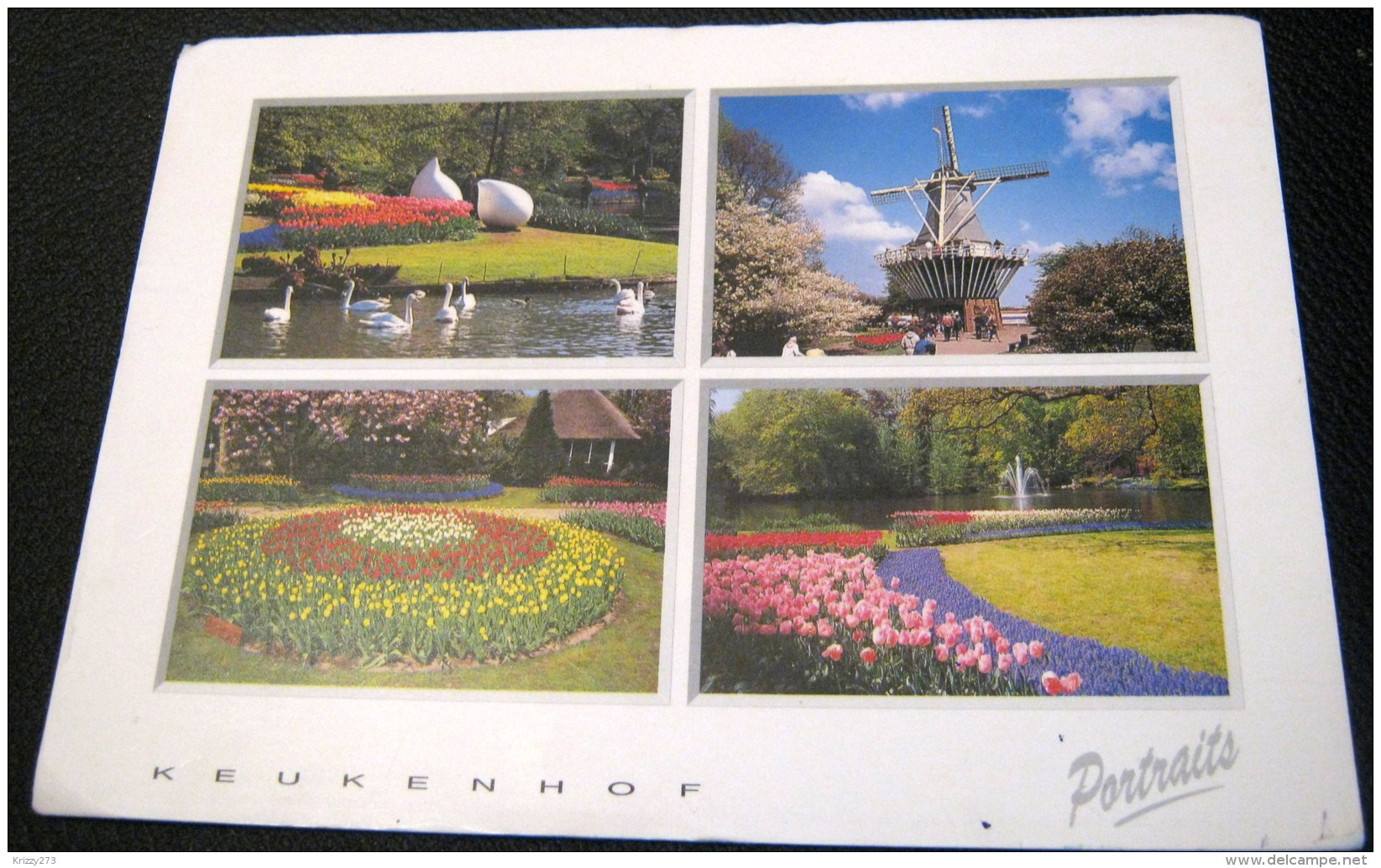 Netherlands Keukenhof Portraits  Multi-view Living Colours - Used - Lisse