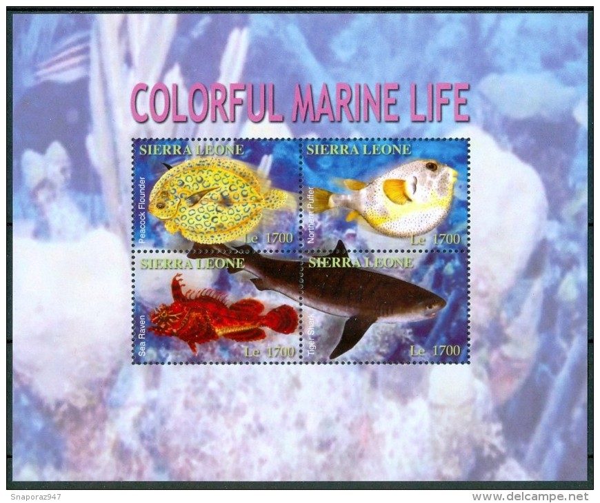 2004 Sierra Leone Vita Marina Marine Life Pesci Fishes Fische Poissons Set + Block MNH** Sie13 - Pesci