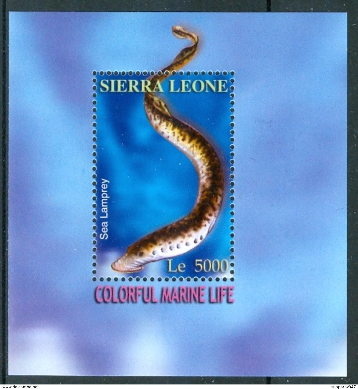 2004 Sierra Leone Vita Marina Marine Life Pesci Fishes Fische Poissons Set + Block MNH** Sie13 - Pesci