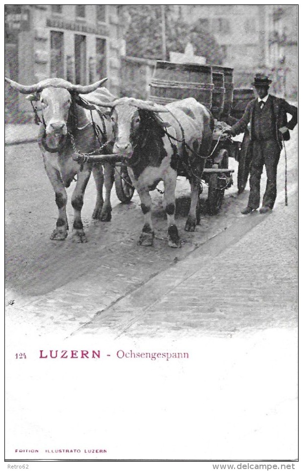 LUZERN &#8594; Ochsengespann In Der Stadt, Mit Grossen Holzfässer Beladen, Ca.1900 - Luzern