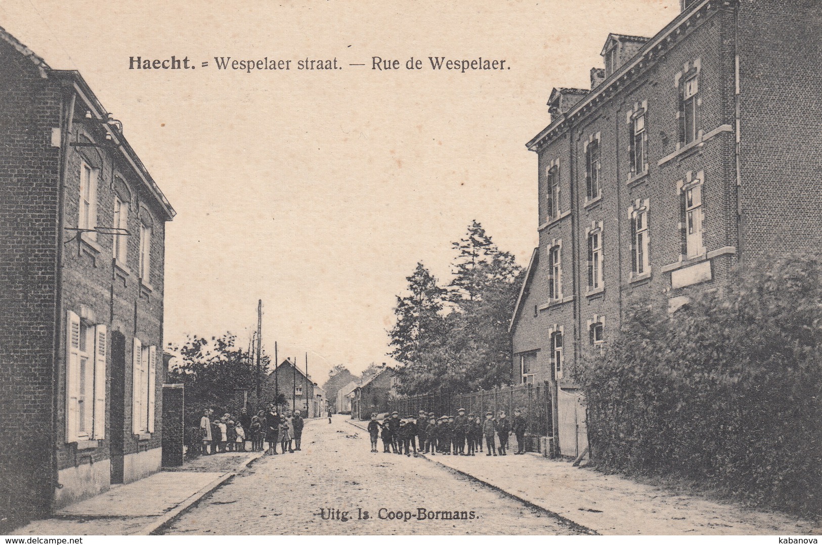 Haacht Haecht Wespelaerstraat Rue De Wespelaer - Haacht