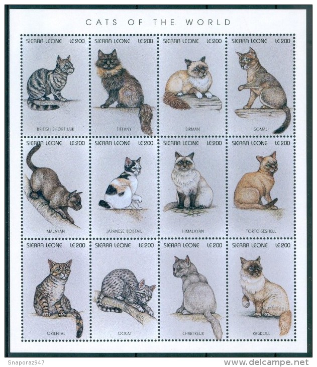 1996 Sierra Leone Gatti Cats Chats Set + Block MNH** Sie25 - Hauskatzen