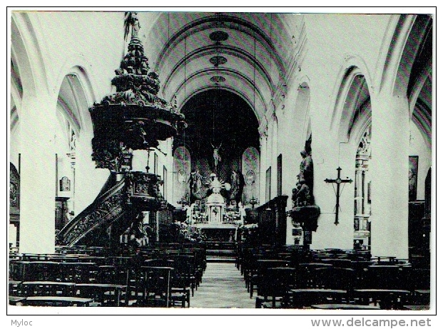 Wezemaal. Sint-Martinuskerk. Binnenzicht. - Rotselaar