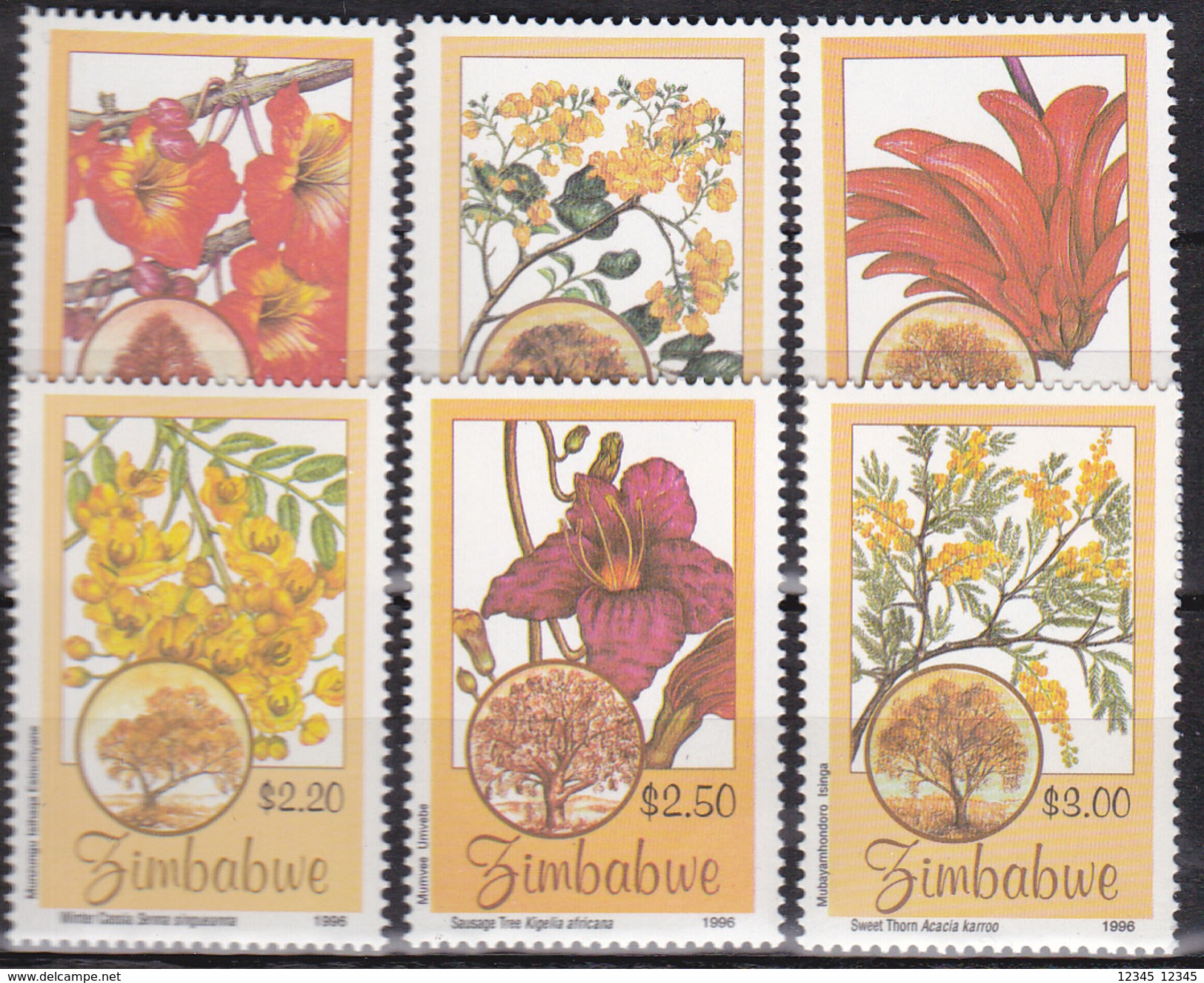 Zimbabwe 1996, Postfris MNH, Flowers - Zimbabwe (1980-...)