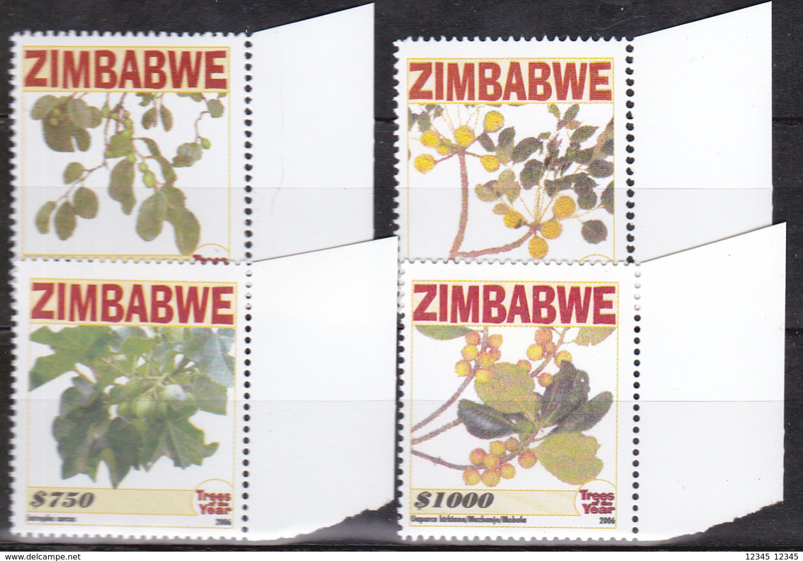 Zimbabwe 2006, Postfris MNH, Plants - Zimbabwe (1980-...)