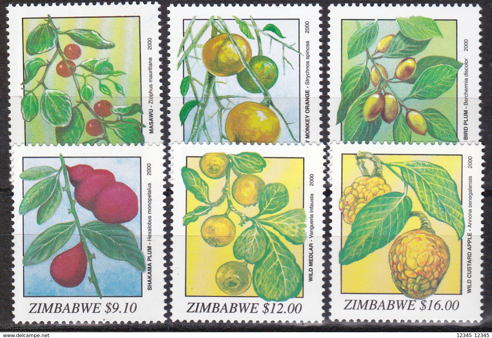 Zimbabwe 2000, Postfris MNH, Plants - Zimbabwe (1980-...)