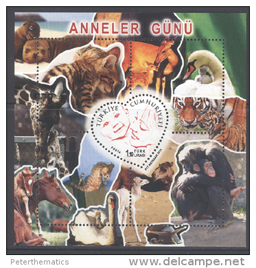 TURKEY, 2014 , MNH,MOTHER´S DAY, FAUNA, SEAHORSES, TIGERS, CHIMPANZEES, SEALS, ANIMALS AND THEIR YOUNG, S/SHEET - Raubkatzen