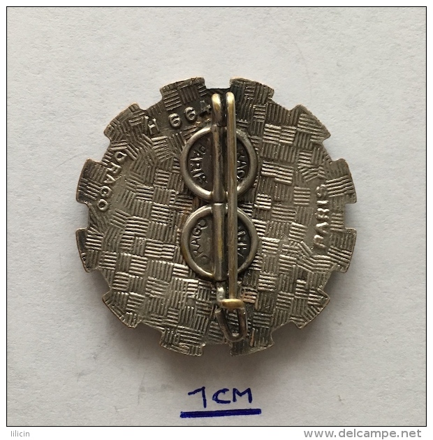 Badge (Pin) ZN003482 - Military (Army) 154° Centre D'Instruction Du Train (C.I.T. 154) - Militaria